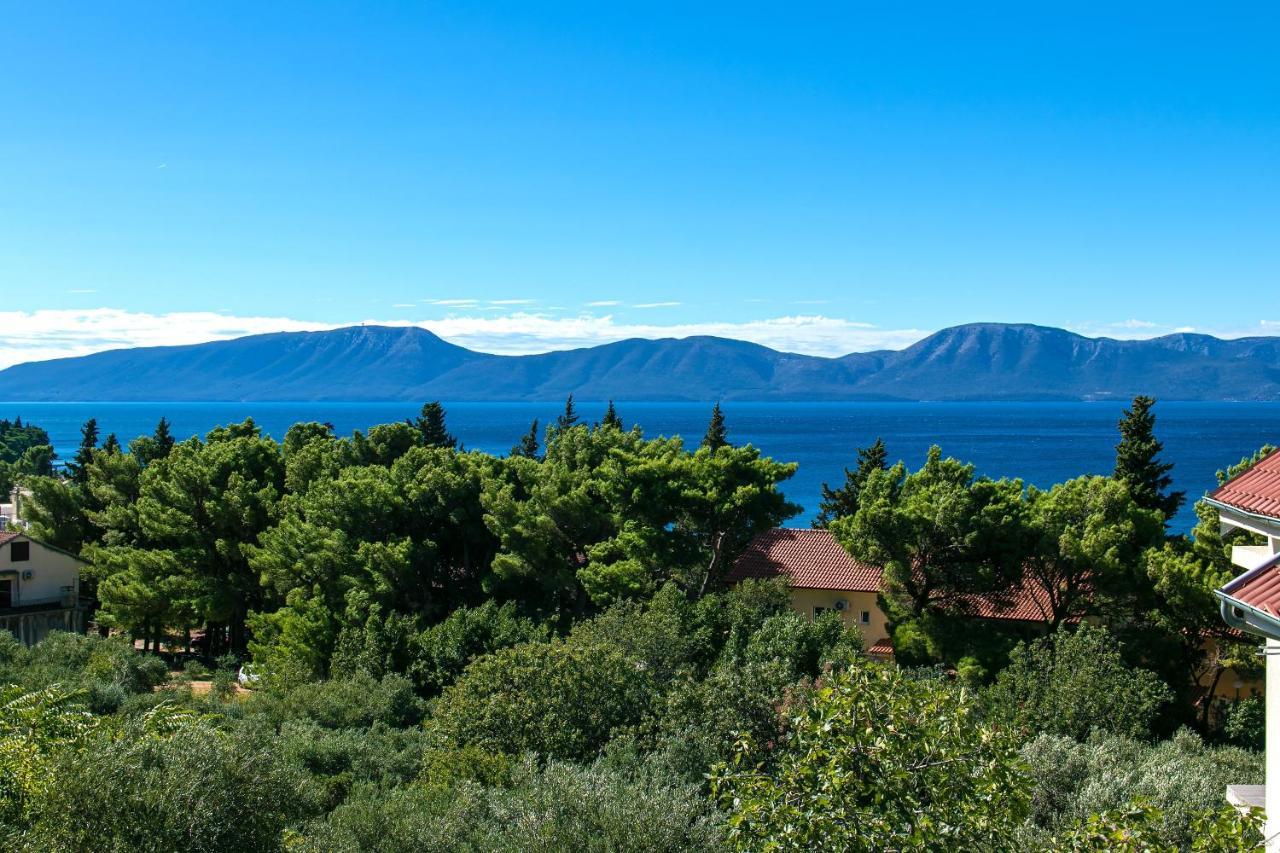 Apartments With A Parking Space Gradac, Makarska - 14708 Exterior foto